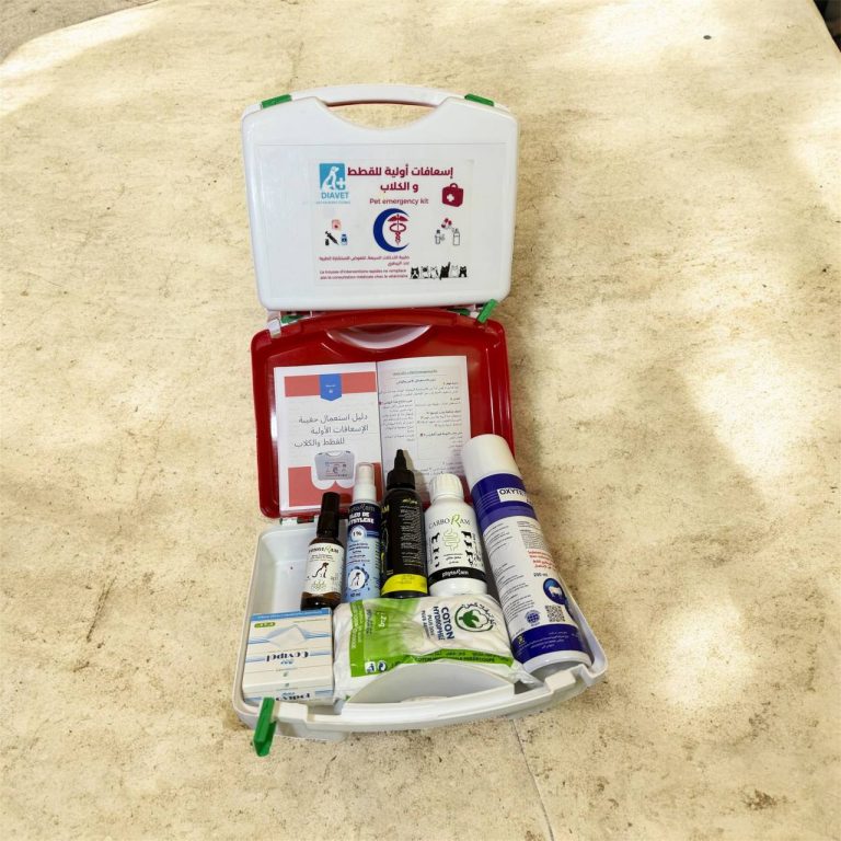 urgences chat et chien !